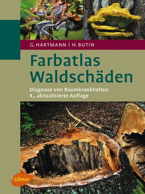 cover image of Waldschäden
